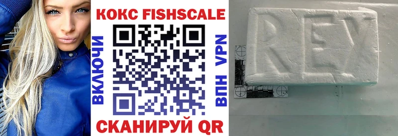 omg вход  Щёкино  Cocaine FishScale 