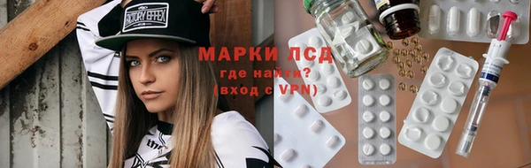 молекула духа Новозыбков