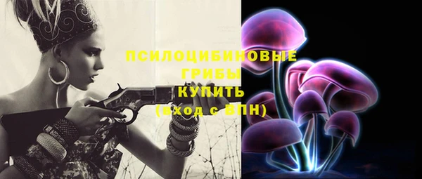 apvp Новокубанск