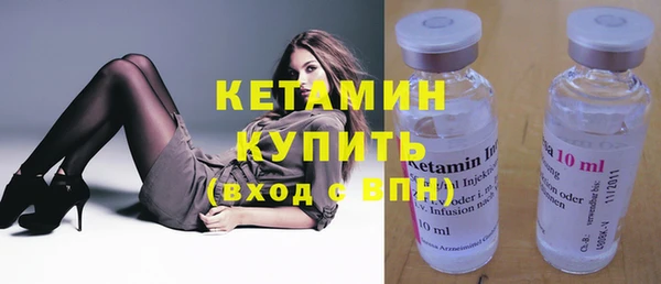 молекула духа Новозыбков