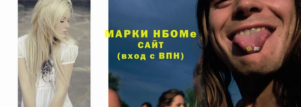 молекула духа Новозыбков