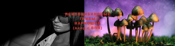 COCAINE Новодвинск