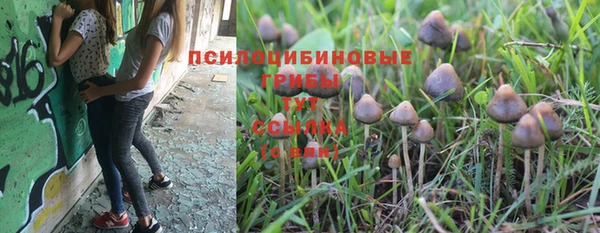 COCAINE Няндома