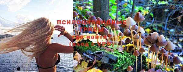 гидра Нязепетровск