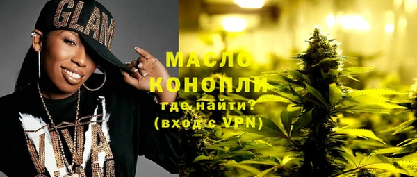 молекула духа Новозыбков